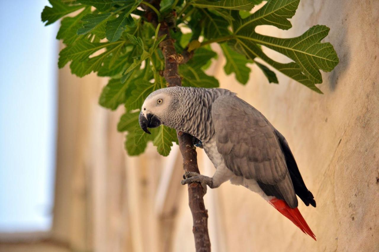 Karagul Otel Sanlıurfa Buitenkant foto